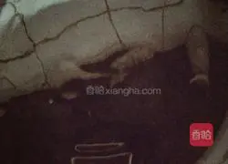 Illustration of how to make egg tortillas 6