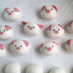 cartoon piggy dumplings