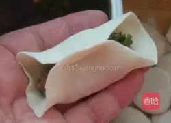 Illustration of how to make beef and fennel filling dumplings 7