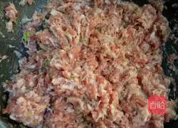 Illustration of how to make wontons 4