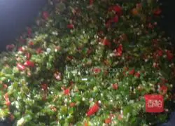 Pumpkin Chili Cake Recipe Illustration 2