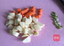 Illustration of Beef Braised Rice 5