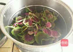 Illustration of how to make pure natural pink dumplings 3