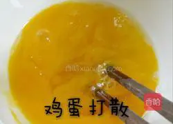 Illustration of homemade egg fried rice 2