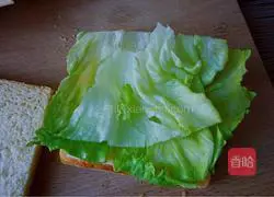 Illustration of how to make salami sausage sandwich 6