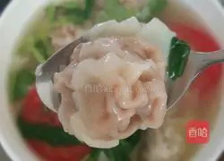 Zucchini and Pork Wonton Recipe Illustration 13