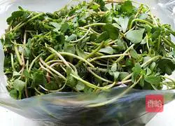 Purslane Illustration of how to make meat buns 2