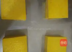 Toasted Sandwich Recipe Illustration 4