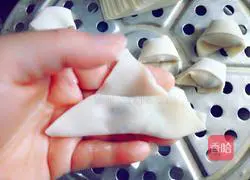 Illustration of how to make wontons 4