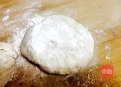 Illustration of how to make vegetarian dumplings 1