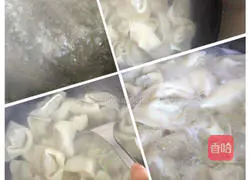 Pork and Shrimp Wonton Recipe Illustration 8