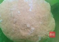 Dumplings stuffed with vegetables and meat in carrot skins Illustration of how to do it 3