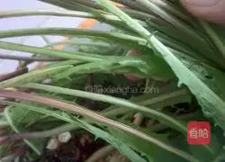 Illustration of how to make dandelion pancakes 1