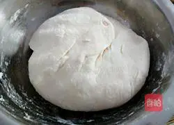 Zucchini and egg pie recipe 8