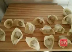 Alfalfa Pork Wonton Recipe Illustration 6