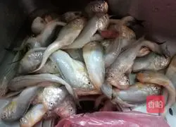 Illustration of how to make crispy steamed bun fish 1