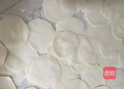 Illustration of making dumplings with shredded radish stuffing 17