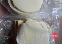 Illustration of how to make pork dumplings and wontons 2