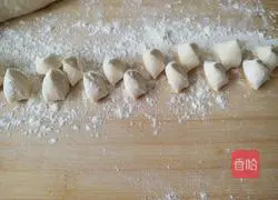 Illustration of making dumplings with three fresh fillings 6