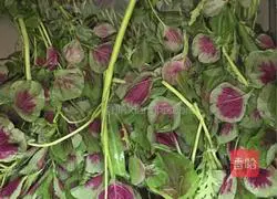 Illustration of how to make amaranth stuffed dumplings 1