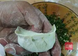 Illustration of making dumplings with vegetable and three fresh fillings 16