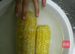 Pork and Corn Ravioli Recipe Illustration 1