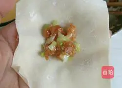 Illustration of how to make wontons 4
