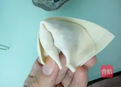 Yuanbao Wonton Recipe Illustration 7