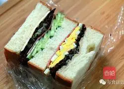 Various sandwich recipes 12