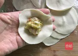 Illustration of how to make cabbage and pork dumplings 11