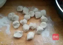 Beef and Carrot Dumplings Recipe Illustration 7