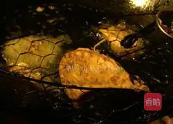 How to make radish dumplings Illustration 3