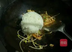 Illustration of Korean Spicy Cabbage Fried Rice 5 