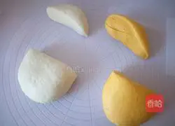 Illustration of how to make chicken steamed buns 9