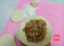 Pork and Onion Pie Recipe Illustration 9