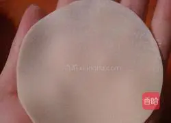 Illustration of how to make dumplings 1