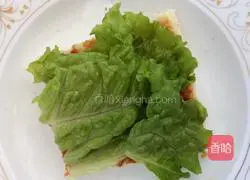 Sandwich Recipe Illustration 10