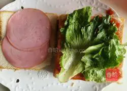 Ham, egg, lettuce sandwich recipe 4