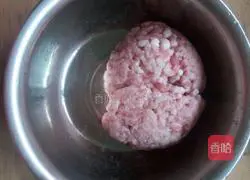 Illustration of homemade pork wontons 1