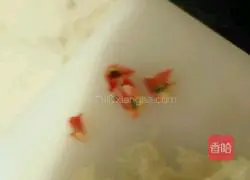 Illustration of home-style soup noodles 7