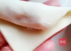 Chicken and Carrot Wonton Recipe Illustration 10