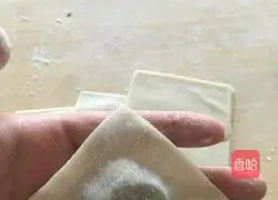 Guanmao Wonton Tutorial Illustration 6