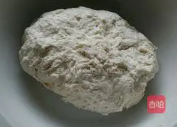 Jingdong meat pie recipe 3