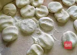 Illustration of how to make double-stuffed dumplings 8