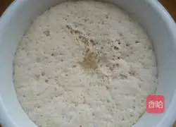 Roasted fennel stuffed buns.Recipe illustration 1