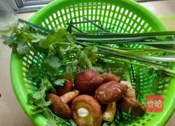 Illustration of making fungus and mushroom dumplings 2