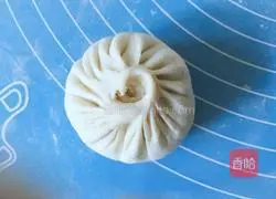 Carrot Illustration of how to make steamed stuffed buns with stuffing 11