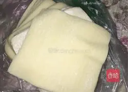 Illustration of how to make wontons (pork) 2