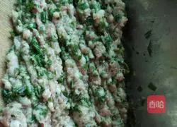 Illustration of how to make pork stuffed dumplings 2