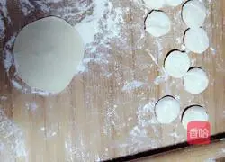 Illustration of how to make shrimp, leek, meat and three fresh dumplings 10